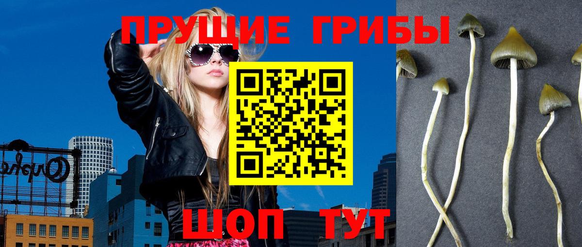 Галлюциногенные грибы мицелий  Вход с VPN  Нововоронеж 